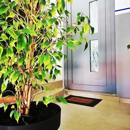 Zahida Lounge * Пула