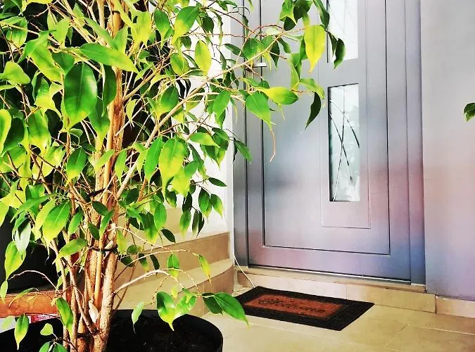 Zahida Lounge * Pula